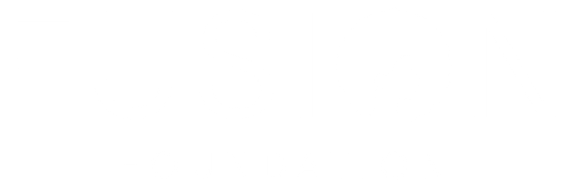 Fusion Foundation